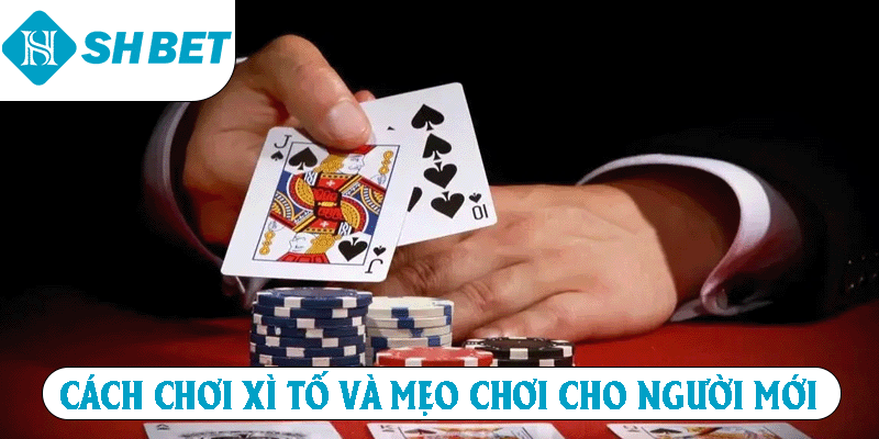 Cách chơi xì tố và mẹo chơi cho người mới