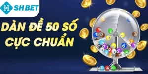 Ảnh đại diện dàn đề 50 số