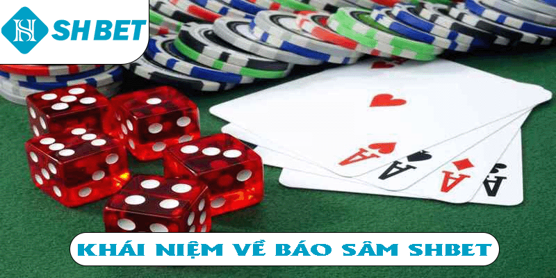 Khái niệm về báo Sâm SHBET 