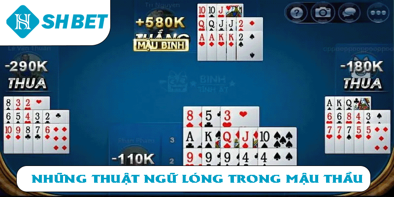 Những thuật ngữ lóng trong Mậu Thầu 
