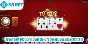 Tứ quý chặt được ảnh đại diện