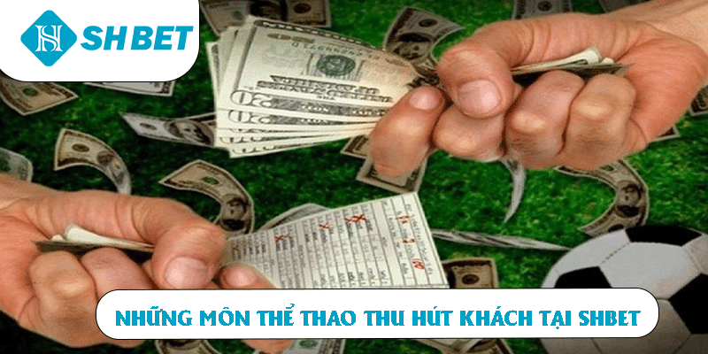 Những môn thể thao thu hút khách tại SHBET 